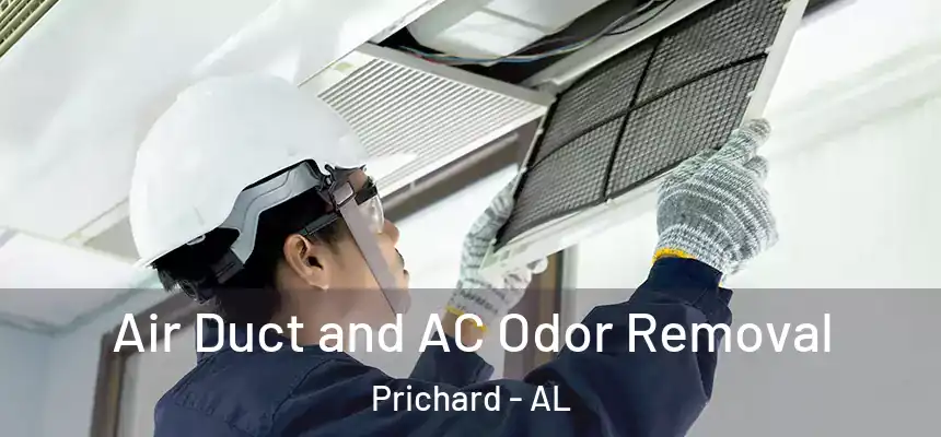  Air Duct and AC Odor Removal Prichard - AL