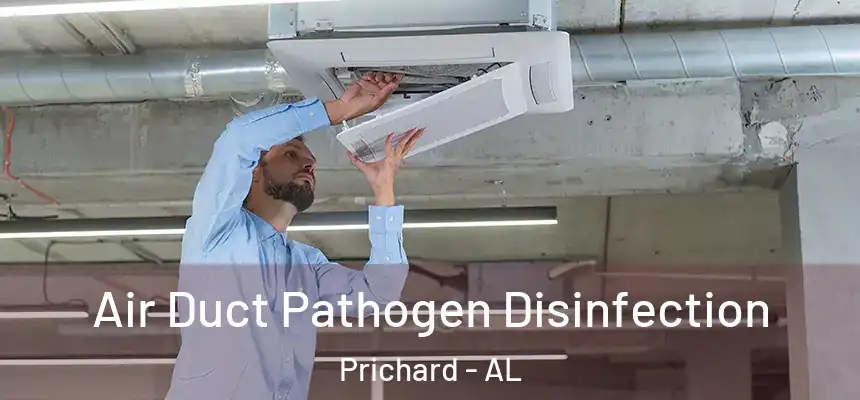  Air Duct Pathogen Disinfection Prichard - AL