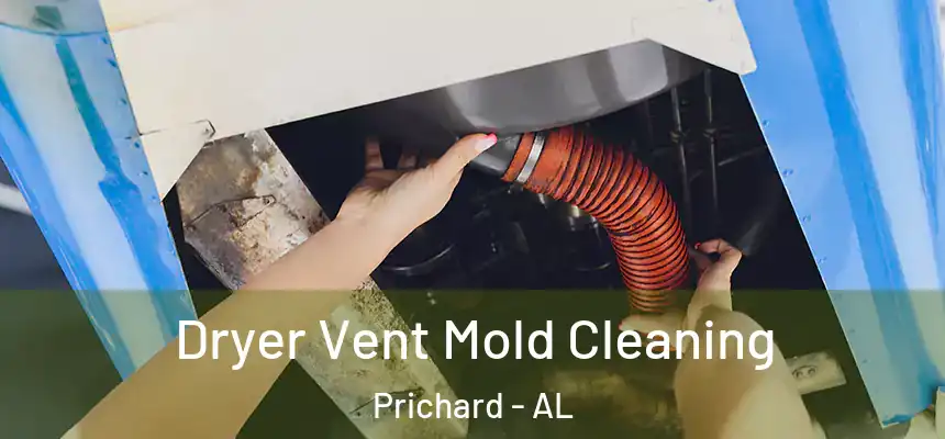 Dryer Vent Mold Cleaning Prichard - AL