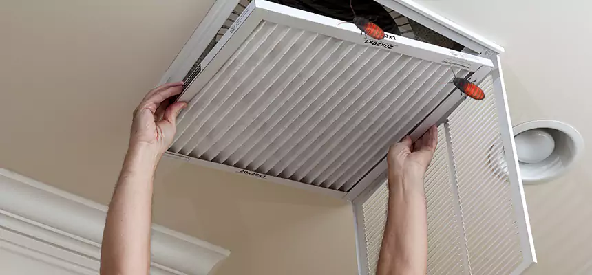 Preventive Cockroach-Proofing for Ducts in Prichard