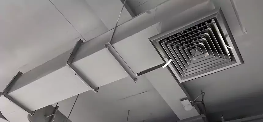 Restorative Allergy Relief Vent Cleaning – Coil, Blower & Housing Detail in Prichard