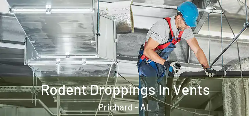 Rodent Droppings In Vents Prichard - AL
