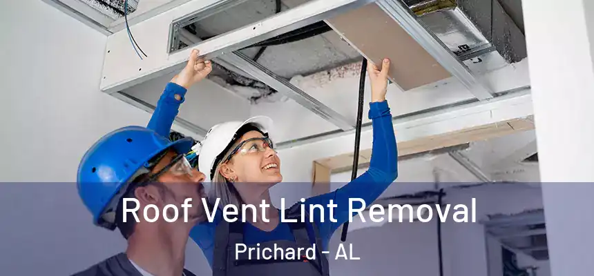 Roof Vent Lint Removal Prichard - AL