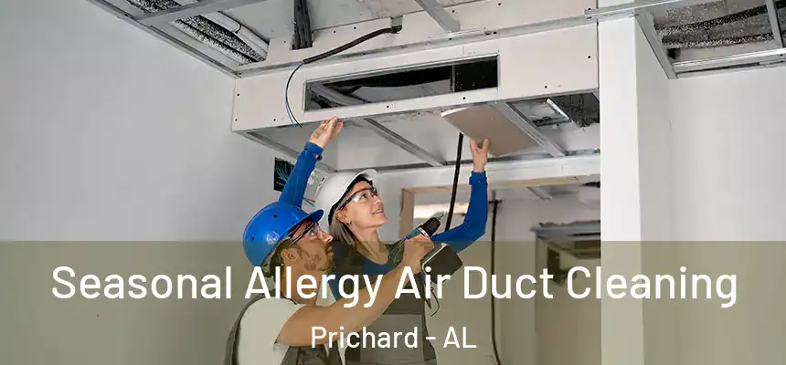 Seasonal Allergy Air Duct Cleaning Prichard - AL
