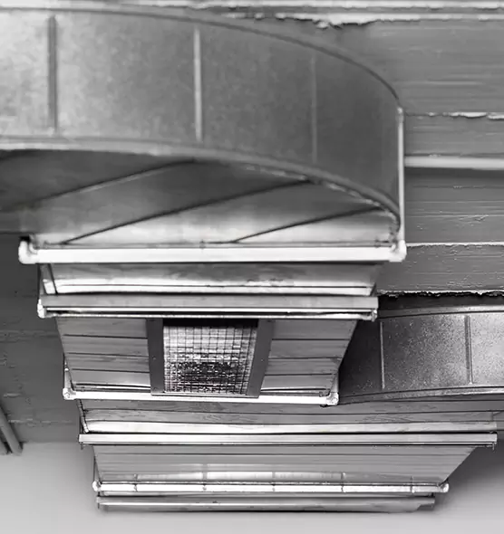 Professional Air Duct Pest Removal in Prichard, AL