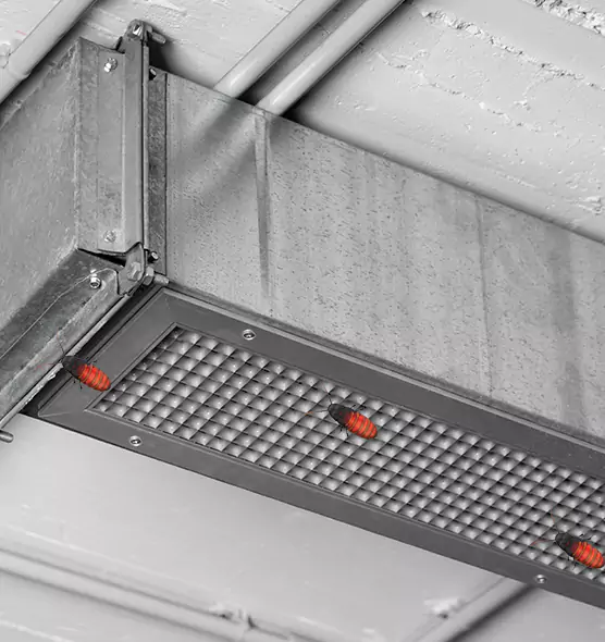 Affordable Insect Removal from Air Ducts in Prichard, AL
