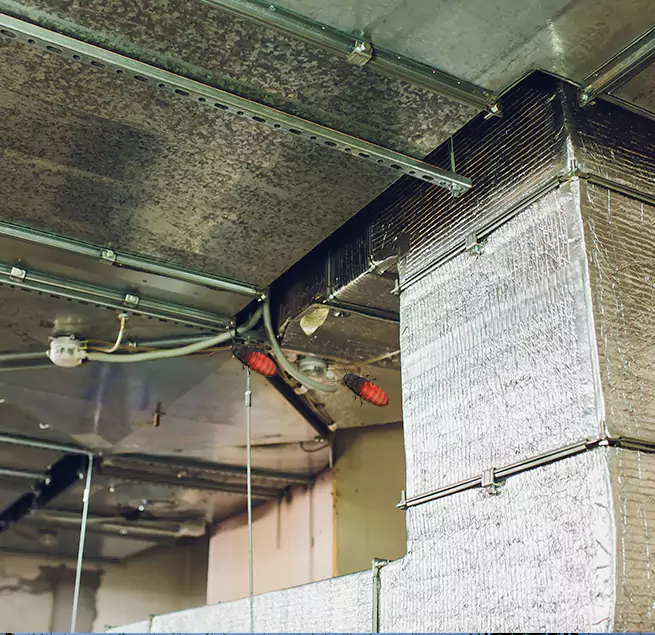 Why Homeowners & Businesses Trust Us in Prichard, AL?