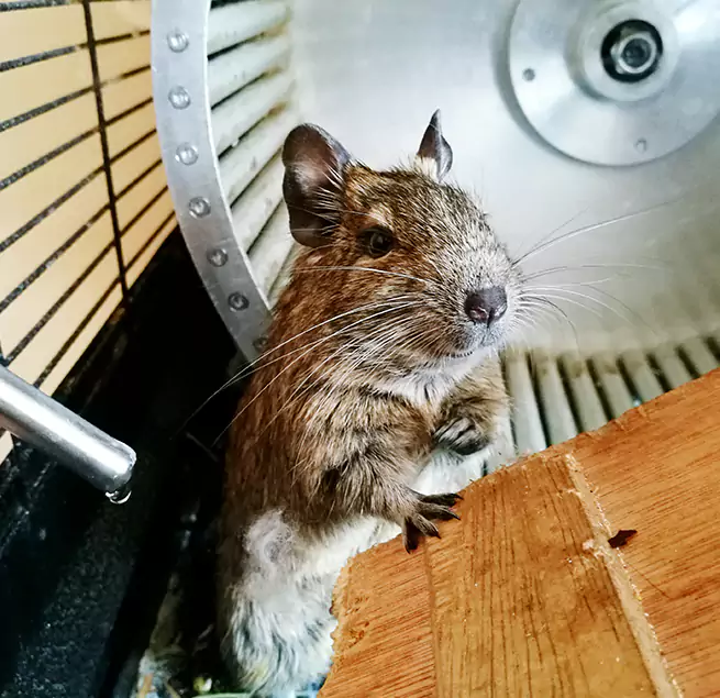 Why Homeowners & Businesses Trust Us Prichard, AL